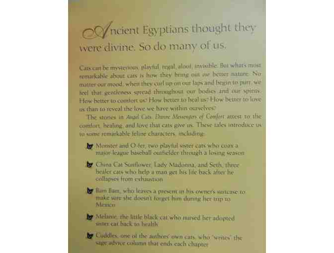 Book: Angel Cats-Divine Messengers of Comfort