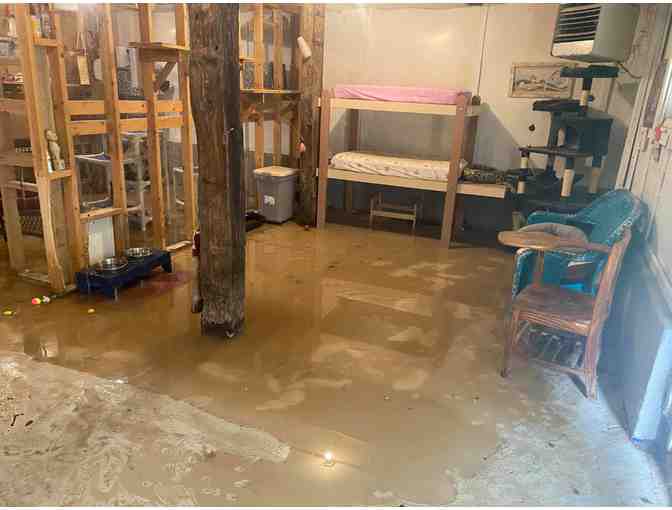 Dwight and Phillip Request Your Help with our Flood Repairs