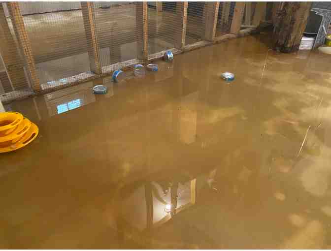 Dwight and Phillip Request Your Help with our Flood Repairs