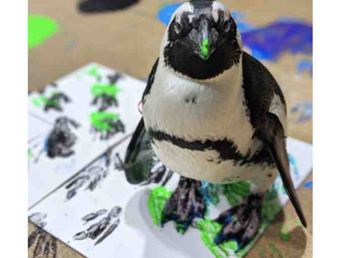 Newport Aquarium Tickets and Gift Basket