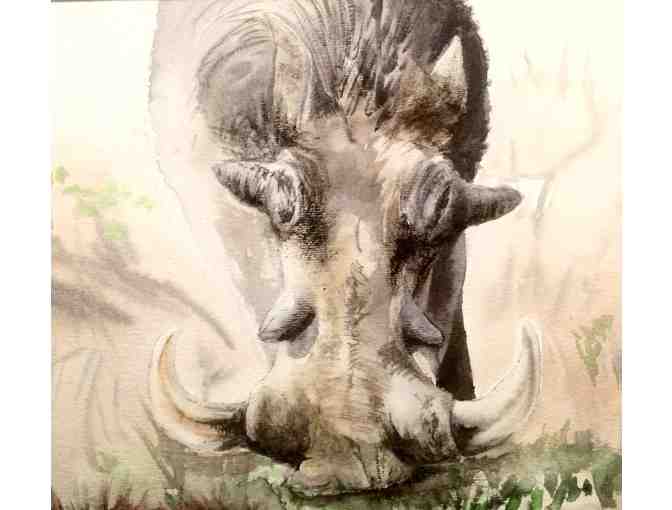 'Warthog' - Framed Watercolor Painting