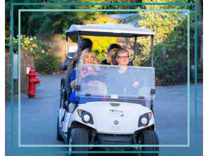 A Behind-the-Scenes VIP Zoo Tour & Private Lunch with the Executive Director