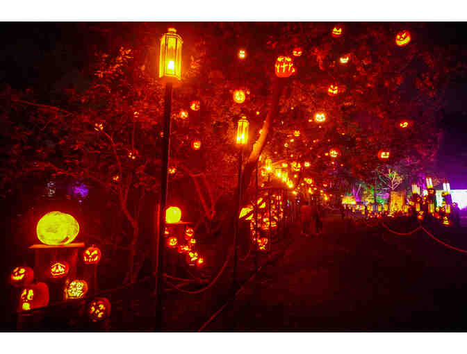 A Behind the Scenes Private Tour of the 2025 Jack-O-Lantern Spectacular for Ten