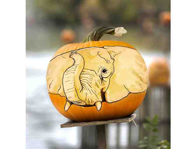 Carving with the Masters: Jack-O-Lantern Spectacular Experience for Two
