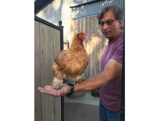 Lodi, CA - Prie Winery - Wine Tasting for Four  #1 of 5