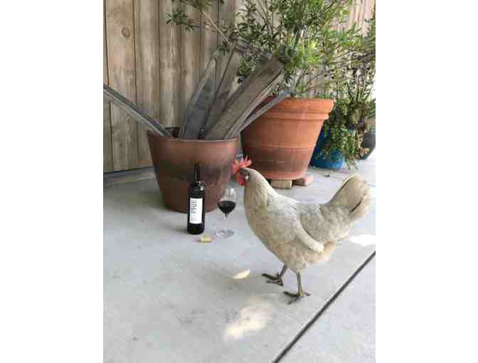 Lodi, CA - Prie Winery - Wine Tasting for Four #4 of 5