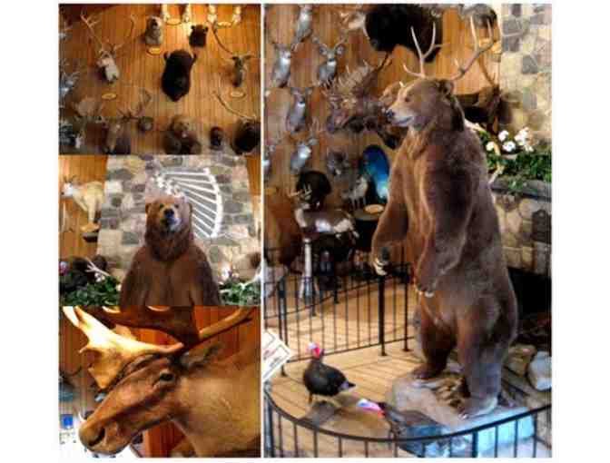 4 Passes to Space Farms and $25 Gift Certificate to Friendly's