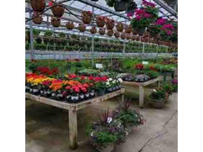 $250 Gift Certificate to C&C Growers in Newton, NJ