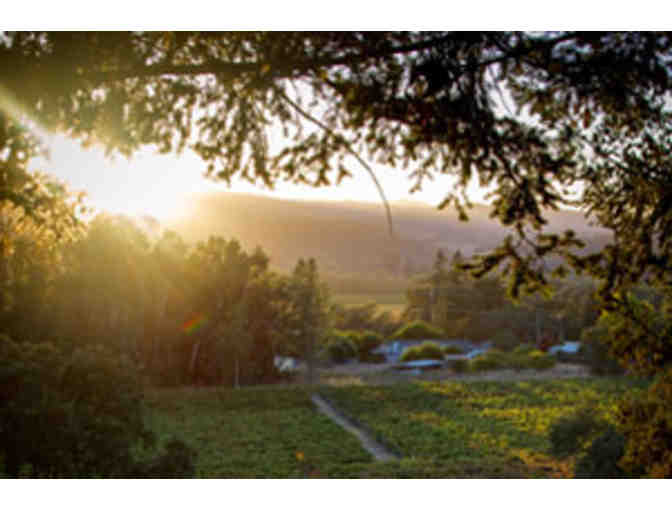 Signed Bottles of ACORN Winery Cabernet Franc & Dolcetto Plus Visit & Tour for Four