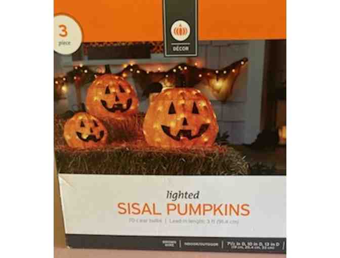 It's Time for Pumpkins!