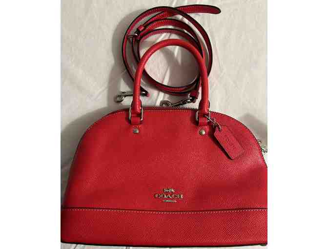 Coach and Dooney & Burke Together