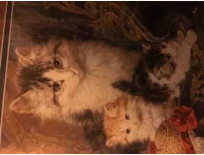 ' A CAT AND HER 3 KITTENS' Exquisite Framed Art Print from Middlebury Frameshop