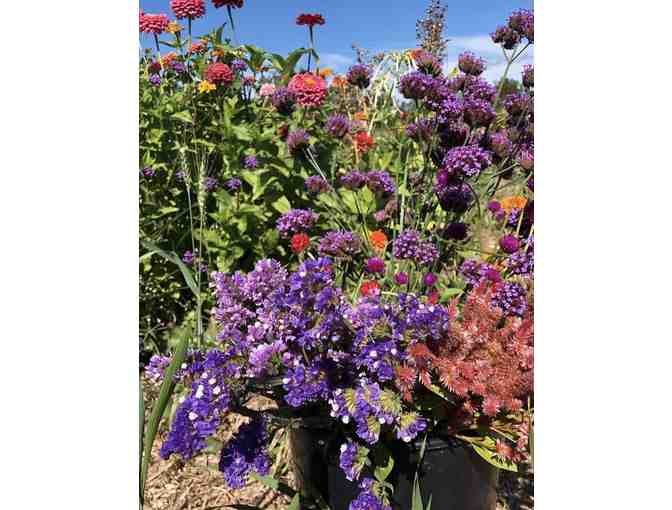 $25 Red Wagon Plants Gift Card *Awesome Garden Center! (Shelburne VT) #4