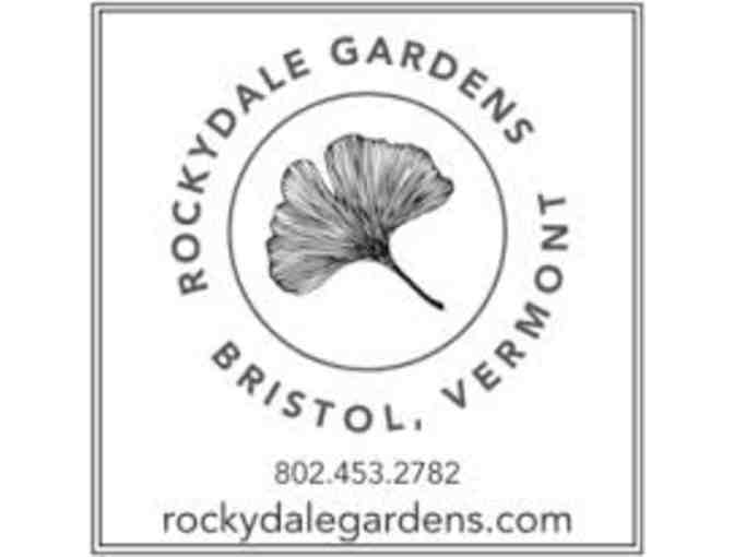 A Collection of Succulents from Rockydale Gardens in Bristol, VT