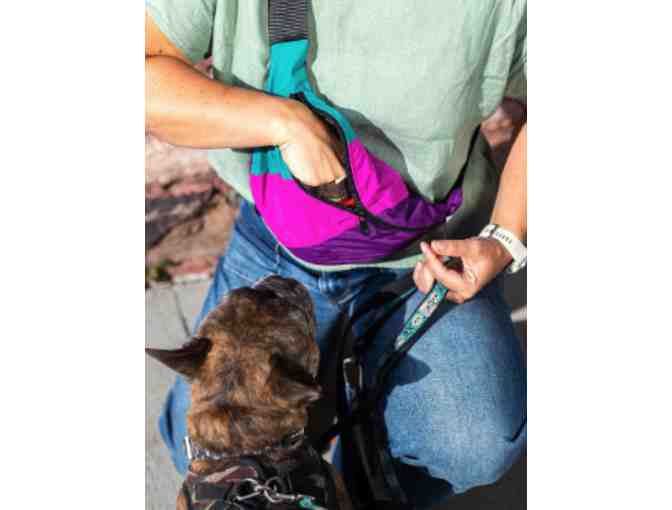 Birdie Blue Bag *Fanny Pack