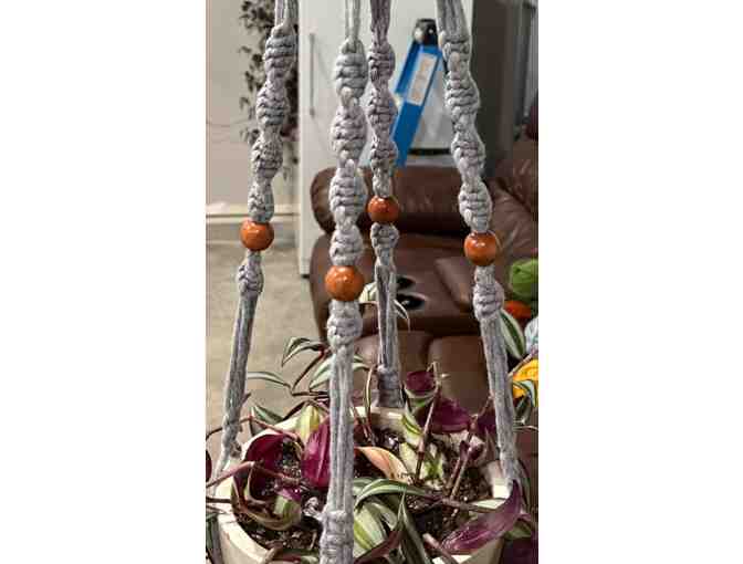 #2 Handmade WHITE Macrame Plant Holder With Bonus Plant!