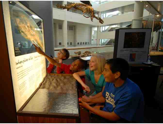 Pack of 4 Vip Passes - The Nat, San Diego Natural History Museum