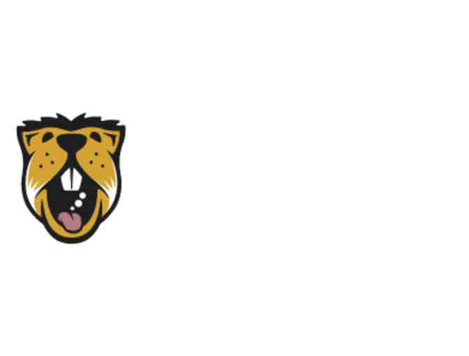 Belching Beaver Beer Bucket