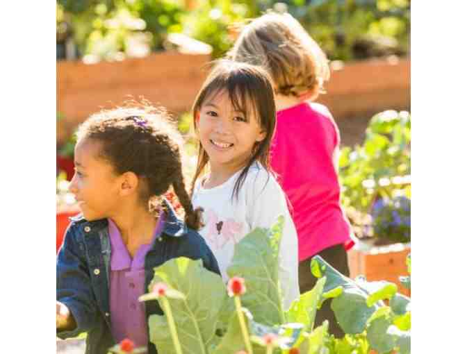 Family Four Pack of Passes - the new children's museum
