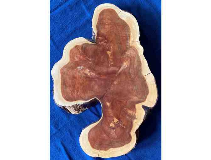 TAST Centerpiece - Large Oblong Rustic Centerpiece