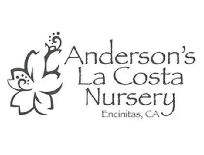 Andersons La Costa Nursery $35 Gift Certificate