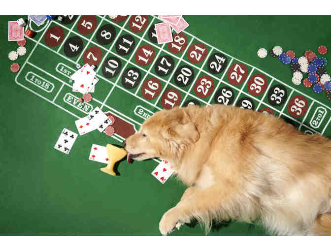 Jackpawt Super Chewer Bark Box