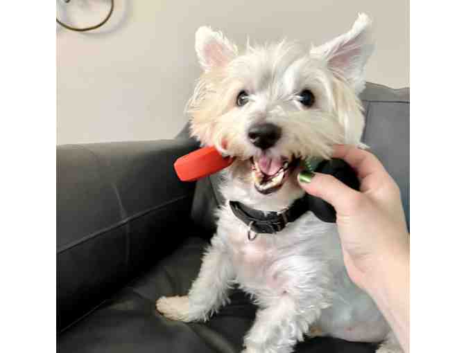 Jackpawt Super Chewer Bark Box