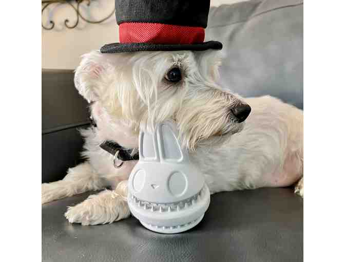 Jackpawt Super Chewer Bark Box