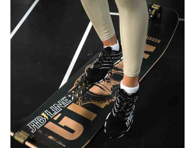 GiBoard Balance Board