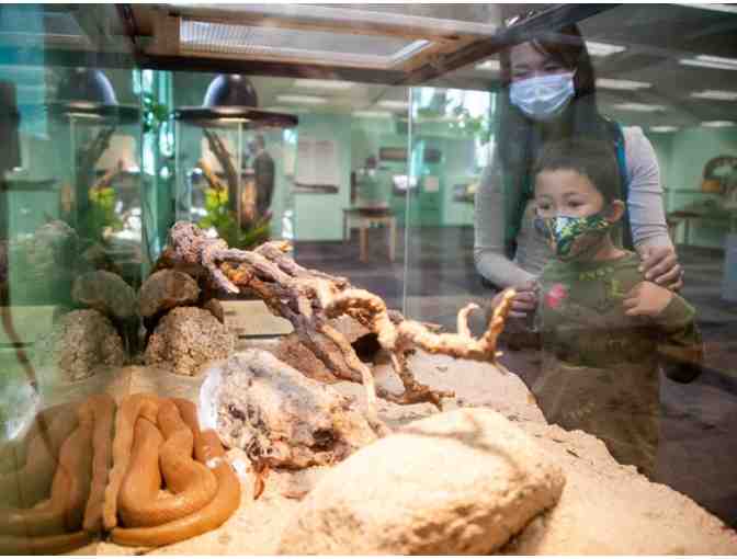 Pack of 4 Vip Passes - The Nat, San Diego Natural History Museum