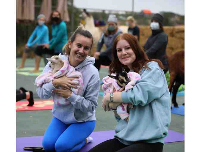 Two (2) Goat Yoga Class Gift Certificates with Swag - Bag Sugar Sweet Farm