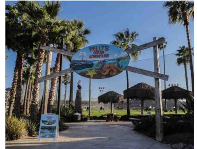 Mini Golf at Pelly's for Four