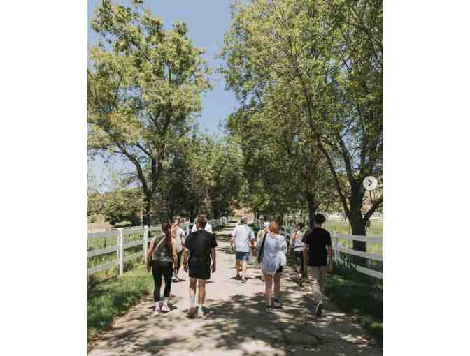 Malibu Wine Hike Tour for Two (2)