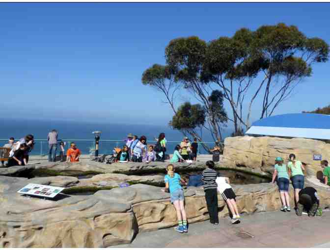 Four Passes for Admission to Birch Aquarium