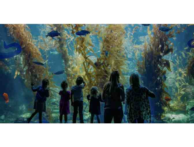 Four Passes for Admission to Birch Aquarium