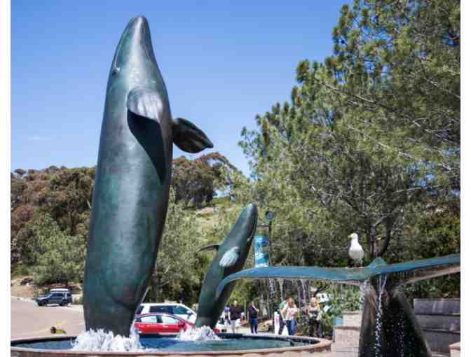 Four Passes for Admission to Birch Aquarium