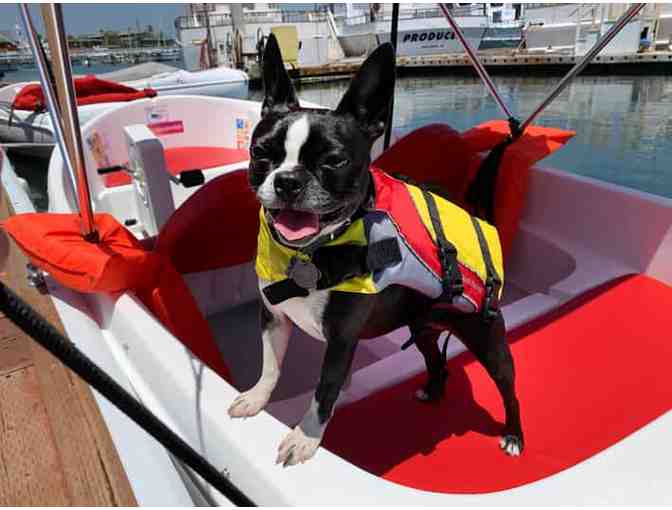 Eco Pedal Boat Rental 1 Hour Rental