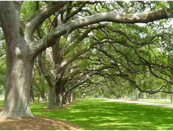 7 Days in Beautiful St. Simons Island, GA