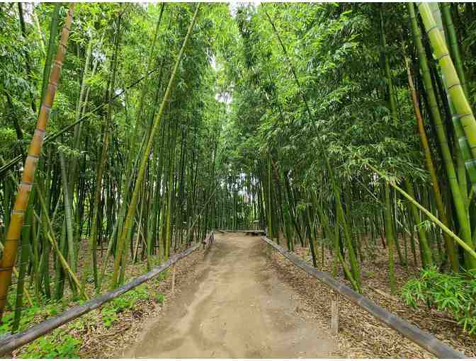 Four (4) Guest Passes to San Diego Botanic Garden