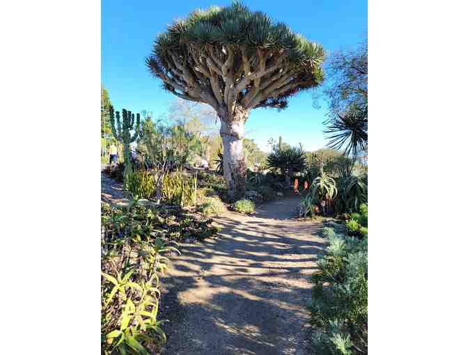 Two (2) Guest Passes to San Diego Botanic Garden