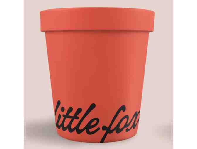 Little Fox Cups and Cones $47 Gift Cards