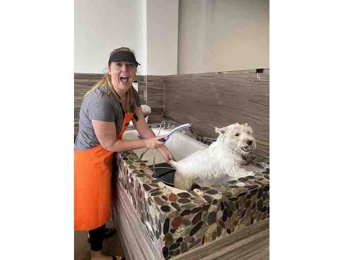 Dirty Dogs Ultimate Doggie Delight