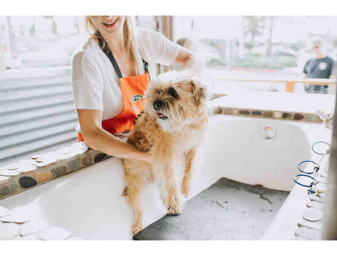 Dirty Dogs Ultimate Doggie Delight