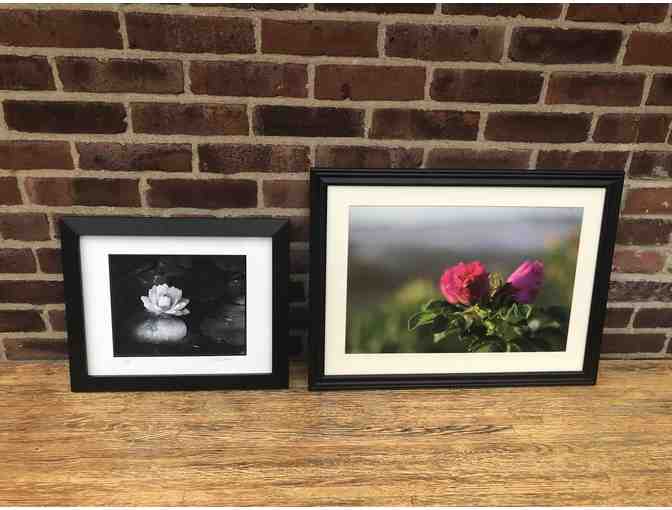 Water Lily Framed Photograph by Carol Despres Photography