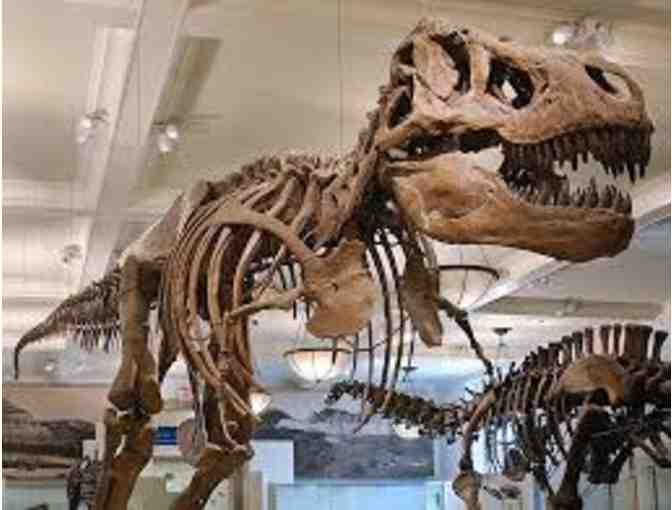 Four Passes to the American Museum of Natural History, New York City