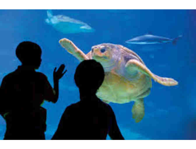 2 Passes to the Adventure Aquarium - Camden, NJ