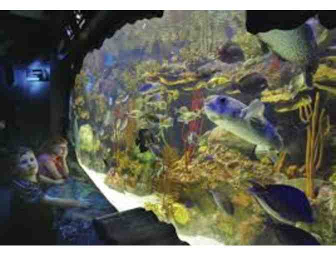 2 Passes to the Adventure Aquarium - Camden, NJ