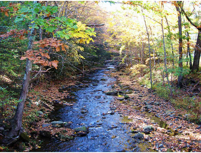 A Day of Fly Fishing on Paradise Creek in the Pocono Mountains in Pennsylvania