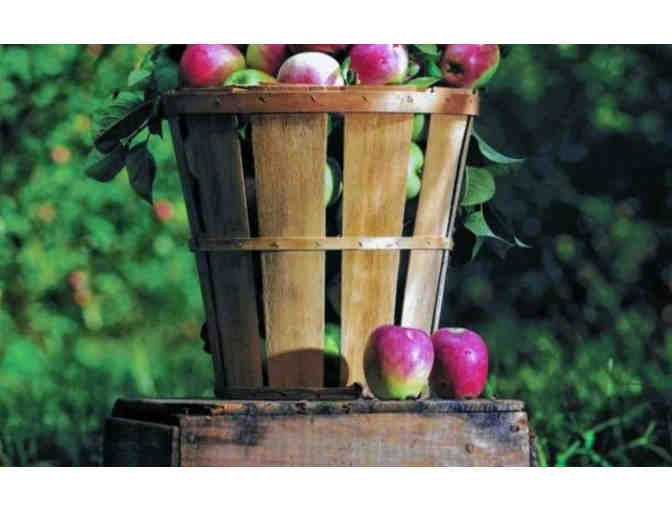 Demarest Farm, Hillsdale, NJ - Day at the Farm for Four & $50.00 Gift Certificate