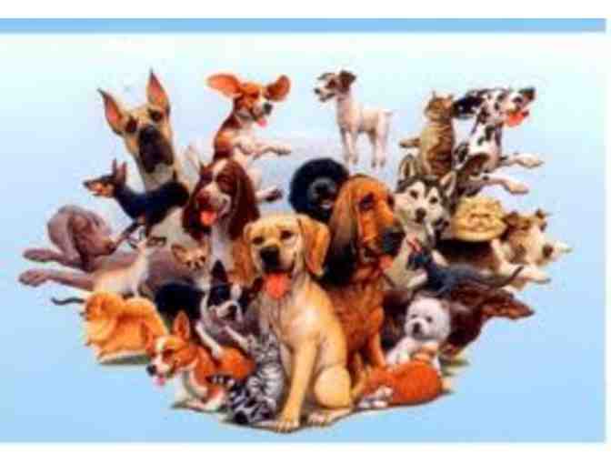 Two Passes to the AKC's 2020 'Meet the Breeds' in New York City (1 of 3)